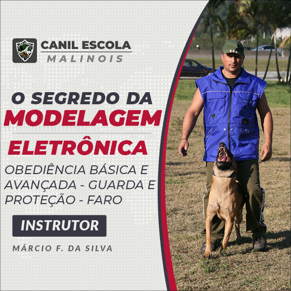 O Segredo da Modelagem Eletrônica