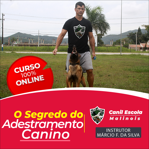 O Segredo do Adestramento Canino